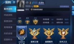 曜皮肤最新爆料2025技能展示,炫酷特效，战力升级！