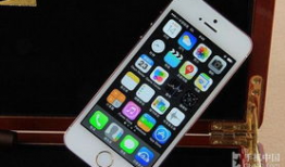 苹果爆料价格最新行情走势