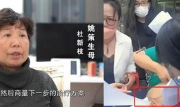 老杜爆料最新视频大全集,揭秘幕后故事，带你领略真实风采