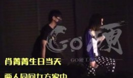 王大锤爆料名单最新版下载,揭秘娱乐圈风云变幻