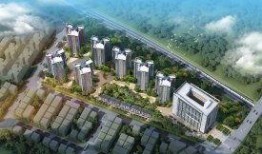 东莞开发商爆料事件最新,揭露行业乱象背后的真相