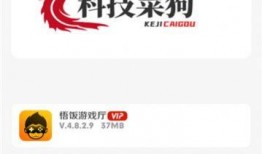 和平静音最新爆料软件,揭秘神秘软件功能与隐私保护策略