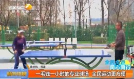 西安足球场爆料最新消息,揭秘工程进度与未来展望