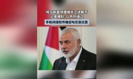 最新爆料的间谍,揭秘其惊心动魄的情报生涯