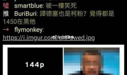 谭德赛最新爆料视频大全,揭秘事件真相与内幕