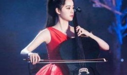 林冰最新爆料大提琴视频,演绎经典，情感真挚