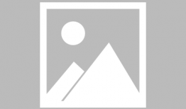 苹果爆料价格最新行情走势