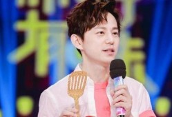 那英何炅最新爆料视频,娱乐圈幕后故事大公开
