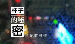 潍坊饭店爆料视频最新,揭秘背后惊人真相