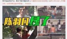 卓伟白百合最新爆料,白百合婚变真相曝光